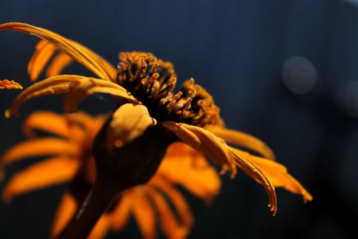 ... ����� ����  �� PhotoGeek.ru #������ ��� �������