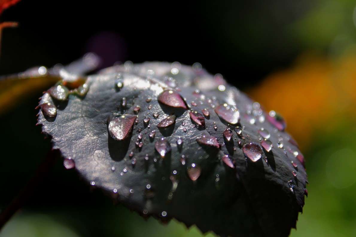 ... ����� ����  �� PhotoGeek.ru #������ ��� �������