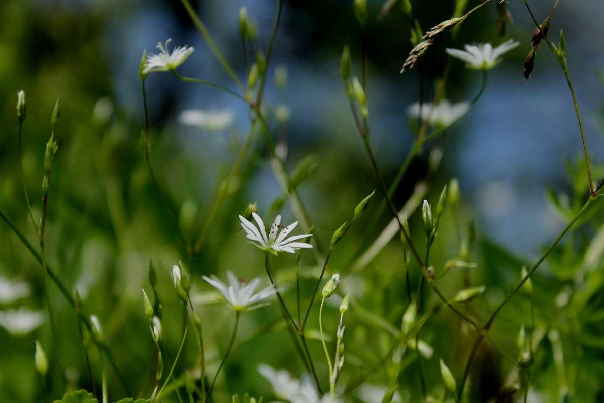 ... ����� ����  �� PhotoGeek.ru #������ ��� �������