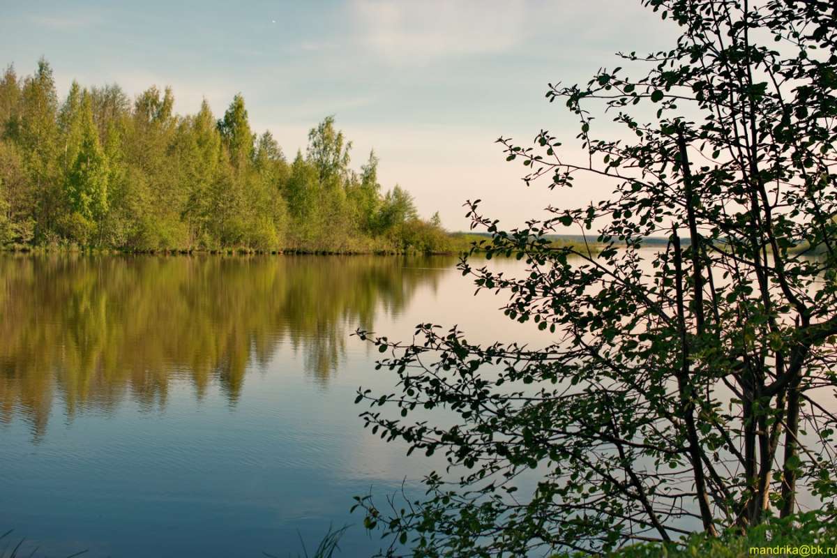 Берег озера Сестрорецкий Разлив. (2)