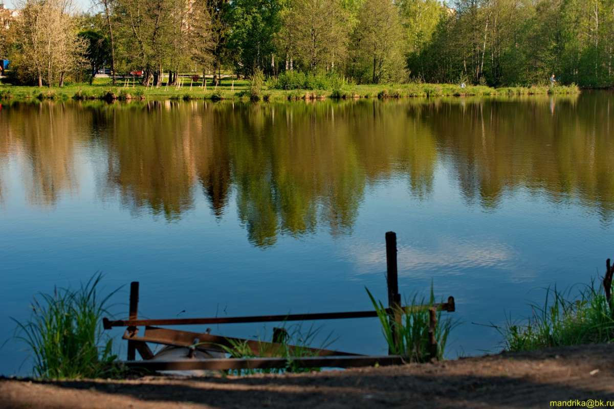Берег озера Сестрорецкий Разлив. (1) автор Aleksandr Mandrika на PhotoGeek.ru #Пейзаж или природа #Озеро