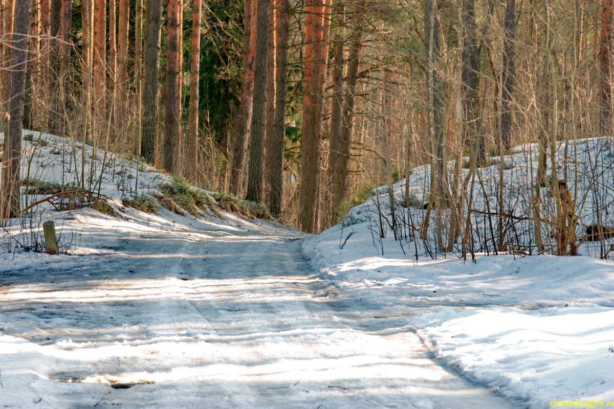 Зимняя дорога в лесу. / Зимняя дорога в лесу. / Фотография на PhotoGeek.ru