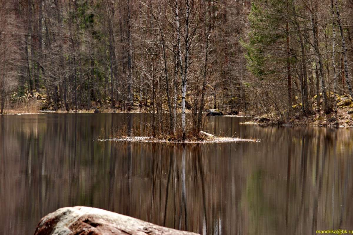 Вуокса в начале мая. (6) автор Aleksandr Mandrika на PhotoGeek.ru #Пейзаж или природа