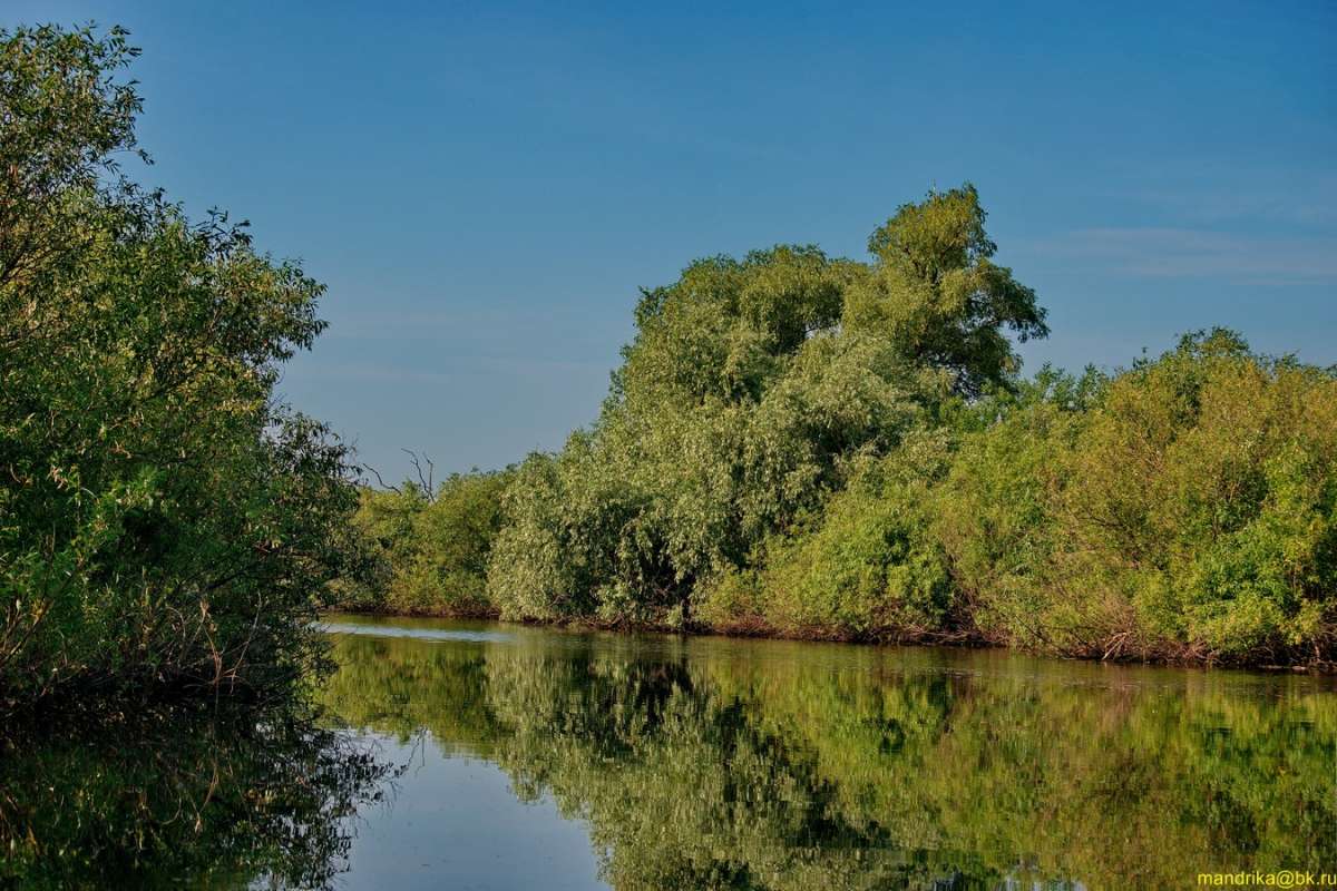 Берега реки Ловать. (1) автор Aleksandr Mandrika на PhotoGeek.ru #Пейзаж или природа