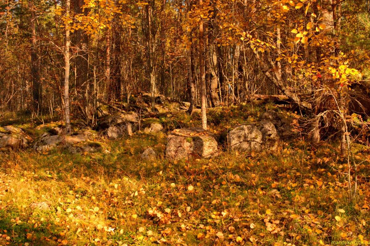 А повсюду - листопад! автор Aleksandr Mandrika на PhotoGeek.ru #Пейзаж или природа