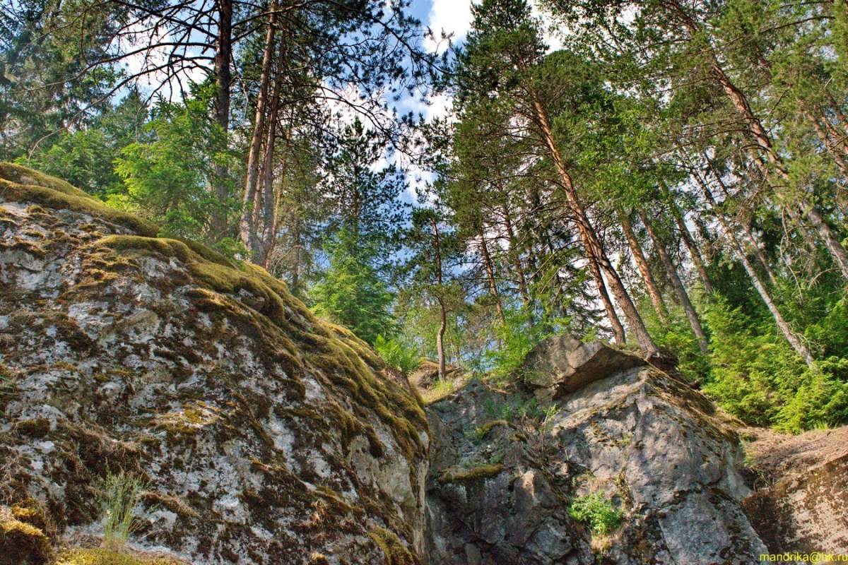Деревья растут на камнях. автор Aleksandr Mandrika на PhotoGeek.ru #Пейзаж или природа