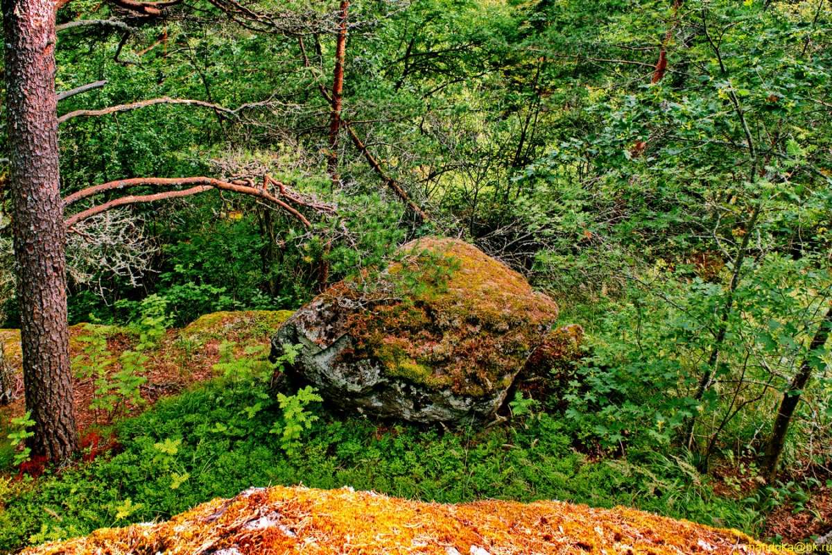 Природа Карельского перешейка (4) автор Aleksandr Mandrika на PhotoGeek.ru #Пейзаж или природа