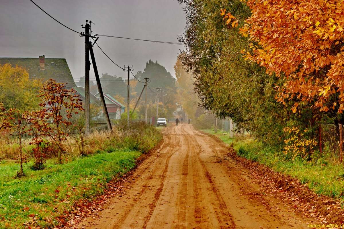 Золотая осень в посёлке автор Aleksandr Mandrika на PhotoGeek.ru #Пейзаж или природа