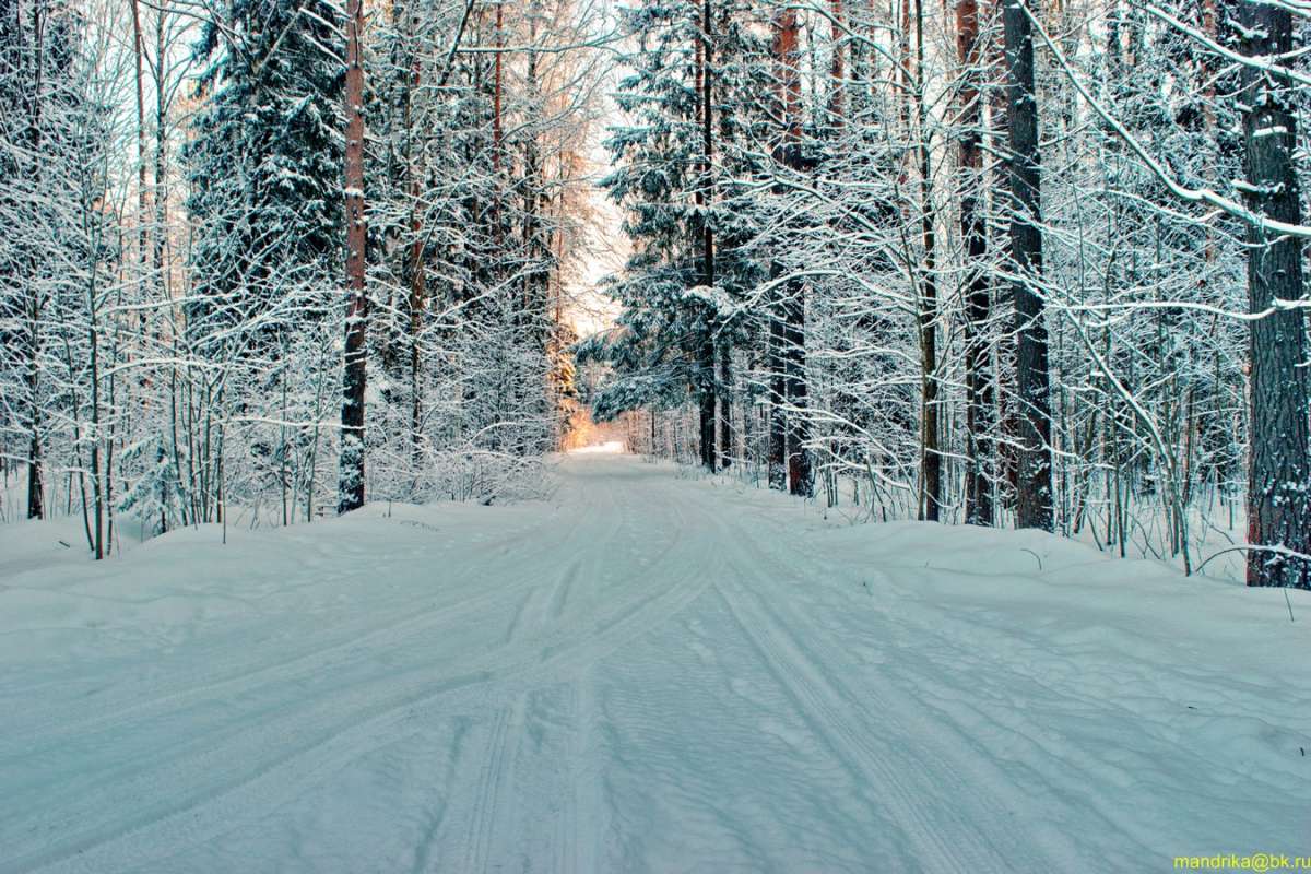 ������� ���� ����� Aleksandr Mandrika �� PhotoGeek.ru #������ ��� �������