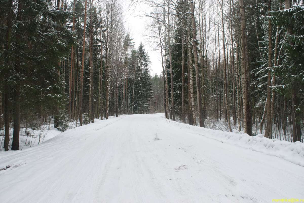 ����� ������� ����� Aleksandr Mandrika �� PhotoGeek.ru #������ ��� �������