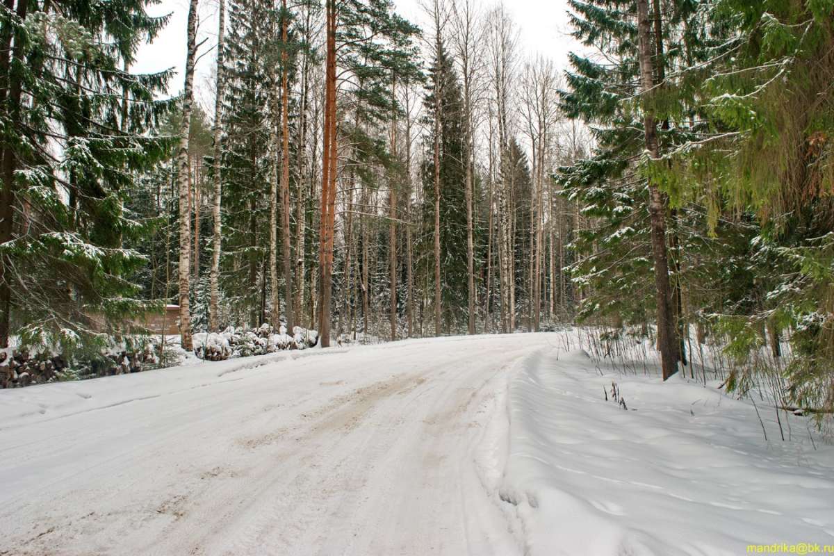 �������� ���� (3) ����� Aleksandr Mandrika �� PhotoGeek.ru #������ ��� �������