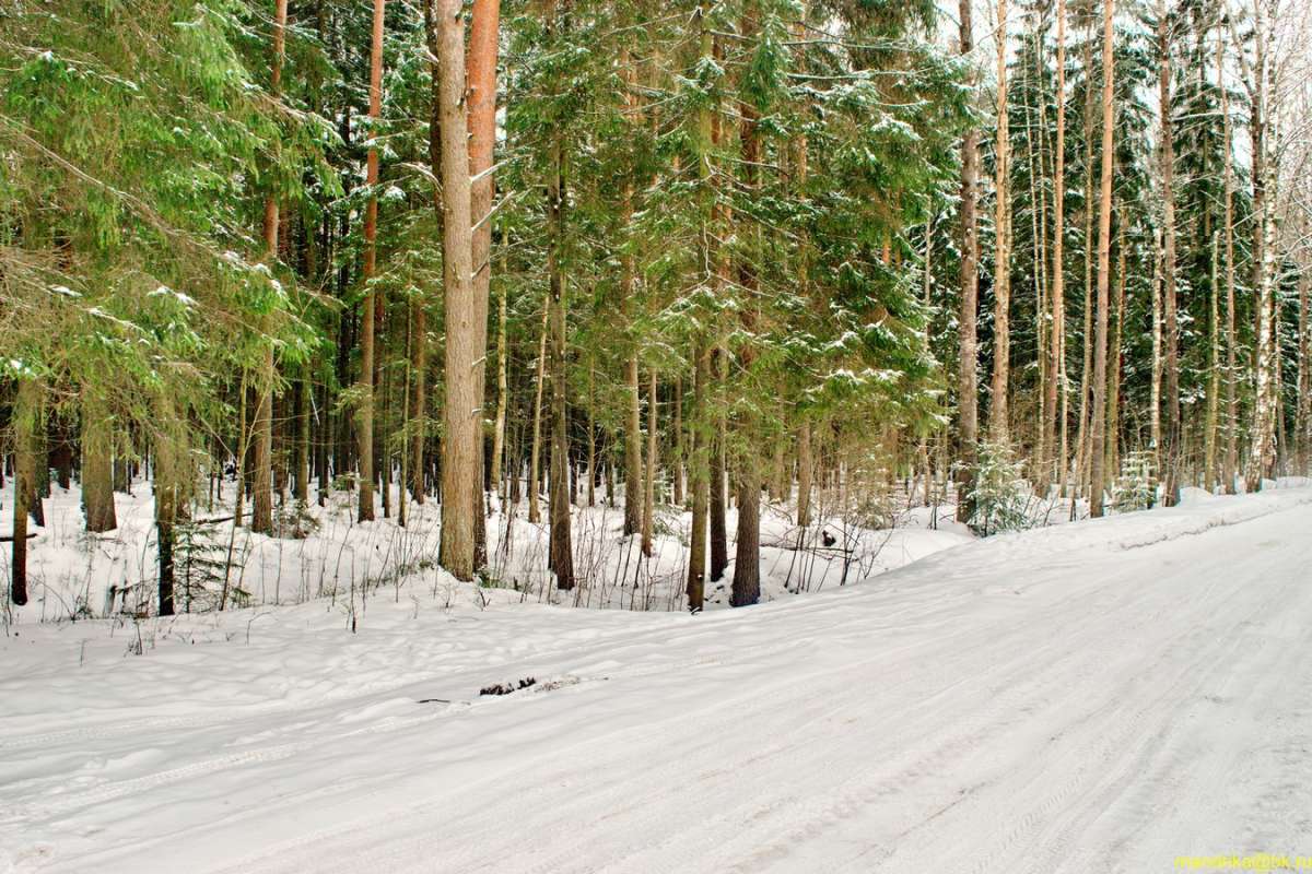 �������� ���� (4) ����� Aleksandr Mandrika �� PhotoGeek.ru #������ ��� �������