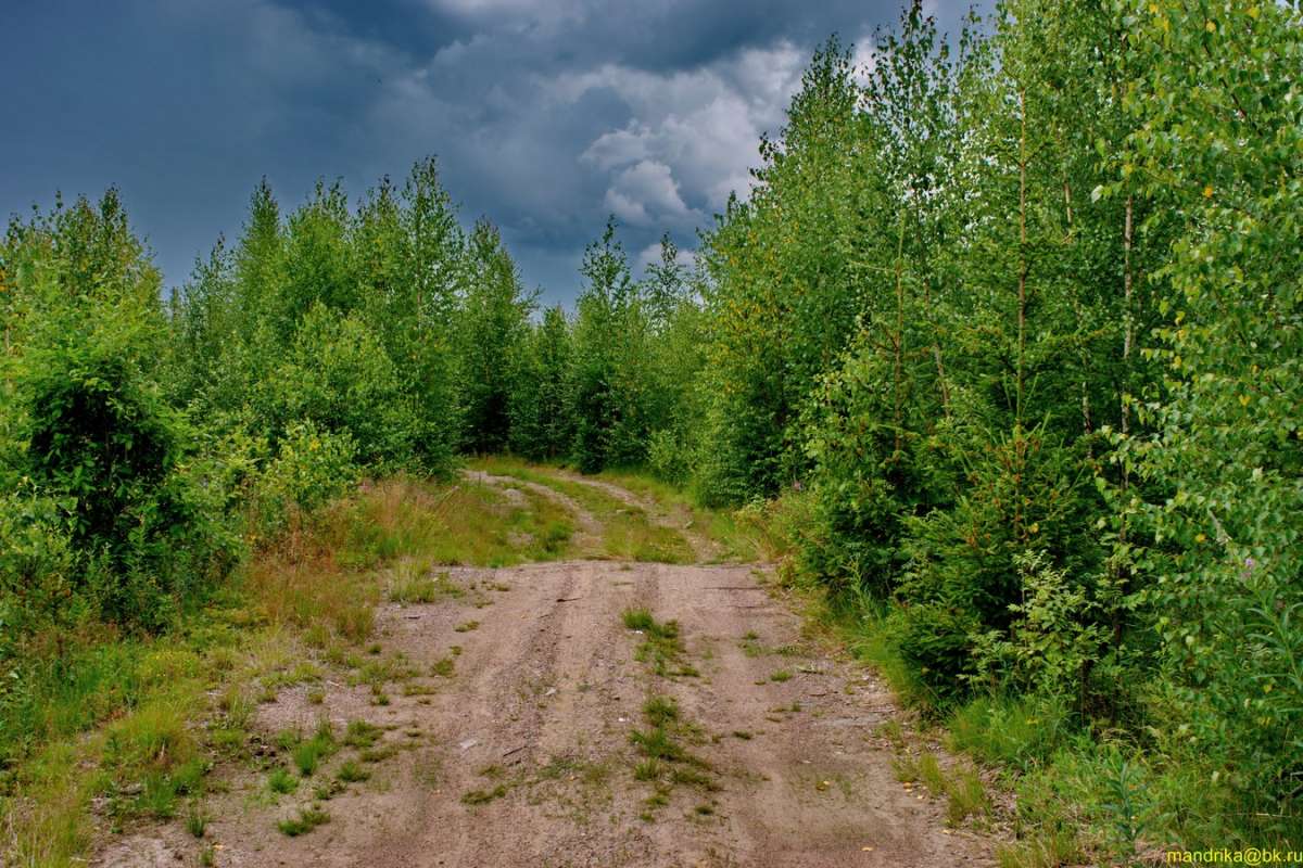 Грозовые тучи над лесом. / Грозовые тучи над лесом. / Фотография на ...