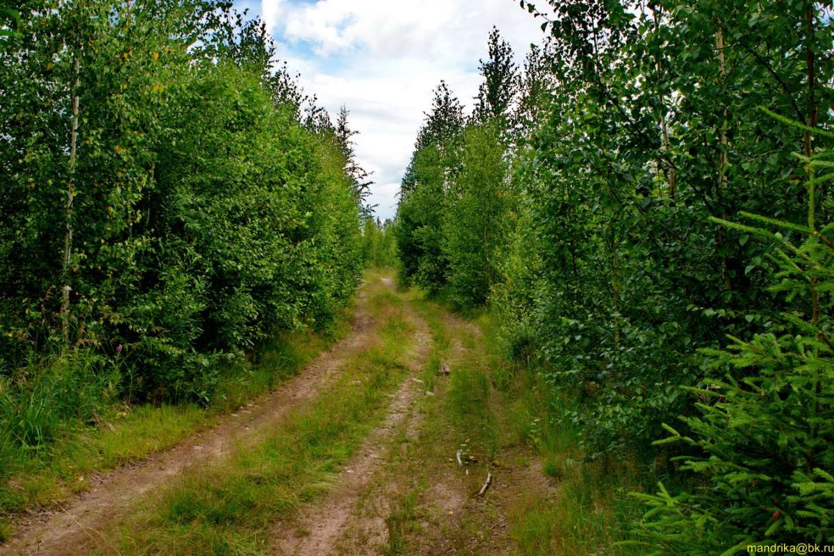 � ������ ����. ����� Aleksandr Mandrika �� PhotoGeek.ru #������ ��� �������