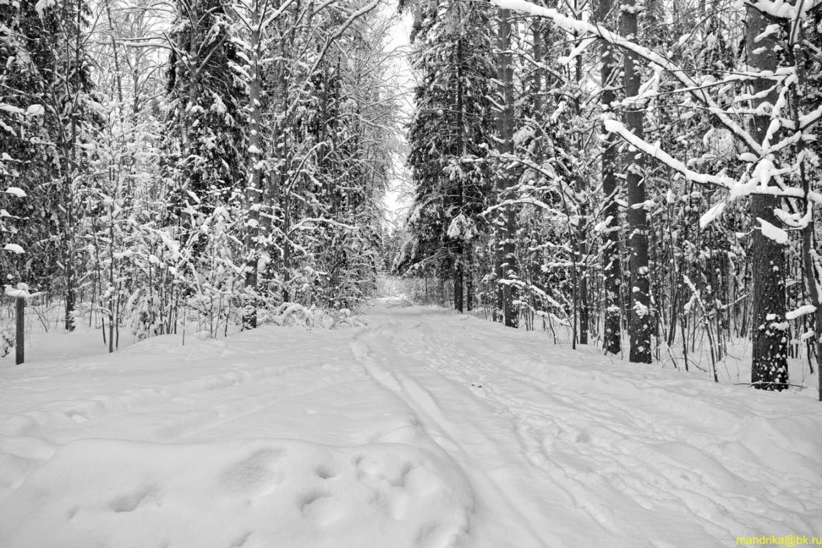 ���������� ������ � ���� ����� Aleksandr Mandrika �� PhotoGeek.ru #������ ��� �������