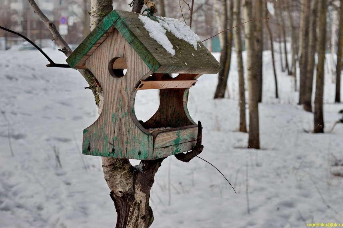 ��� ������ ����� Aleksandr Mandrika �� PhotoGeek.ru #�����