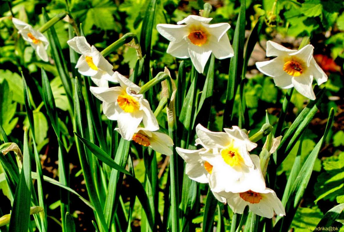 ����� �� ������ (8) ����� Aleksandr Mandrika �� PhotoGeek.ru #������ ��� �������