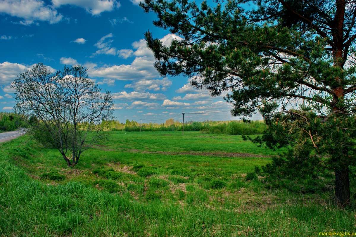 ����������� ���� ����� ������ ����� Aleksandr Mandrika �� PhotoGeek.ru #������ ��� �������