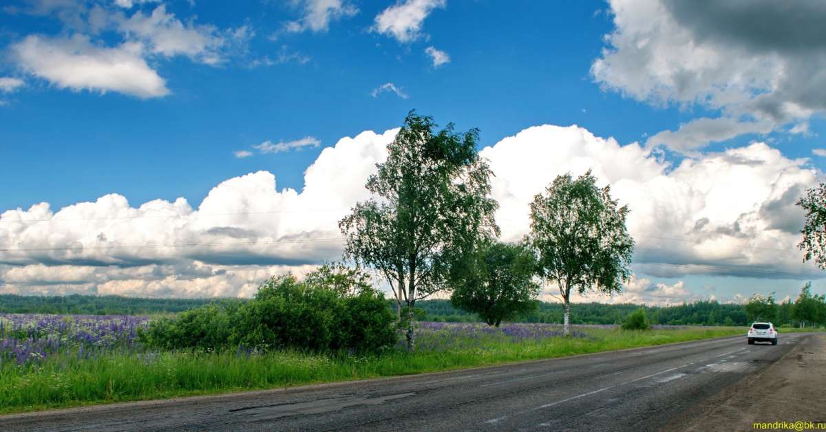 ���� � ������ ����� Aleksandr Mandrika �� PhotoGeek.ru #������ ��� �������