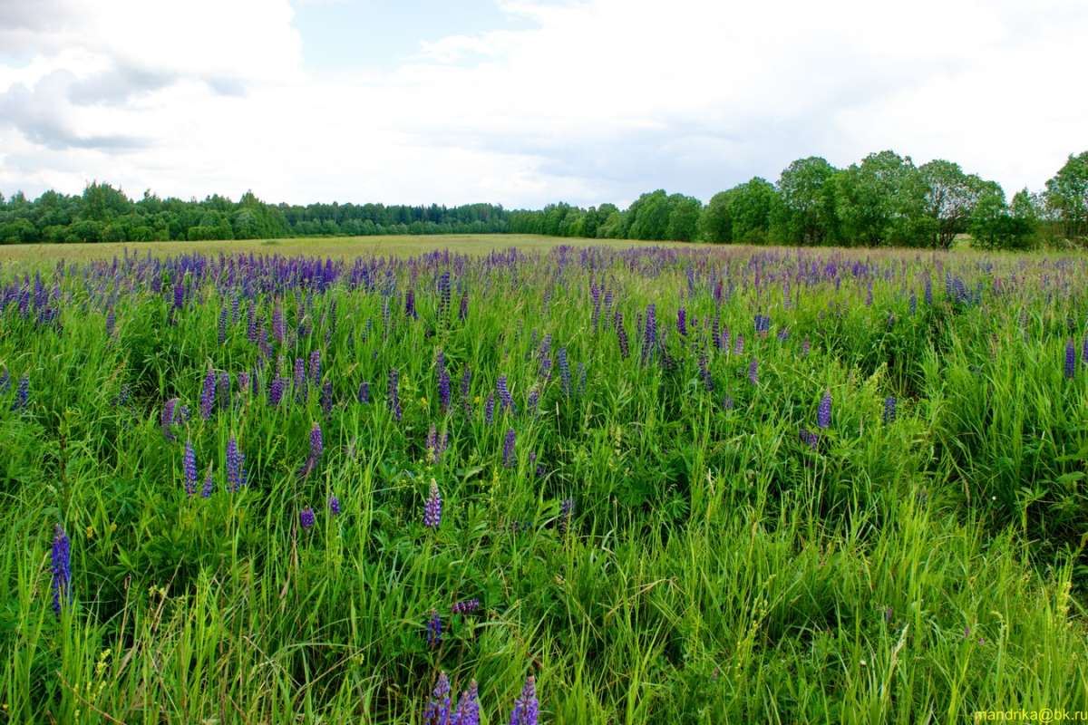 ������� ���� ����� Aleksandr Mandrika �� PhotoGeek.ru #������ ��� �������