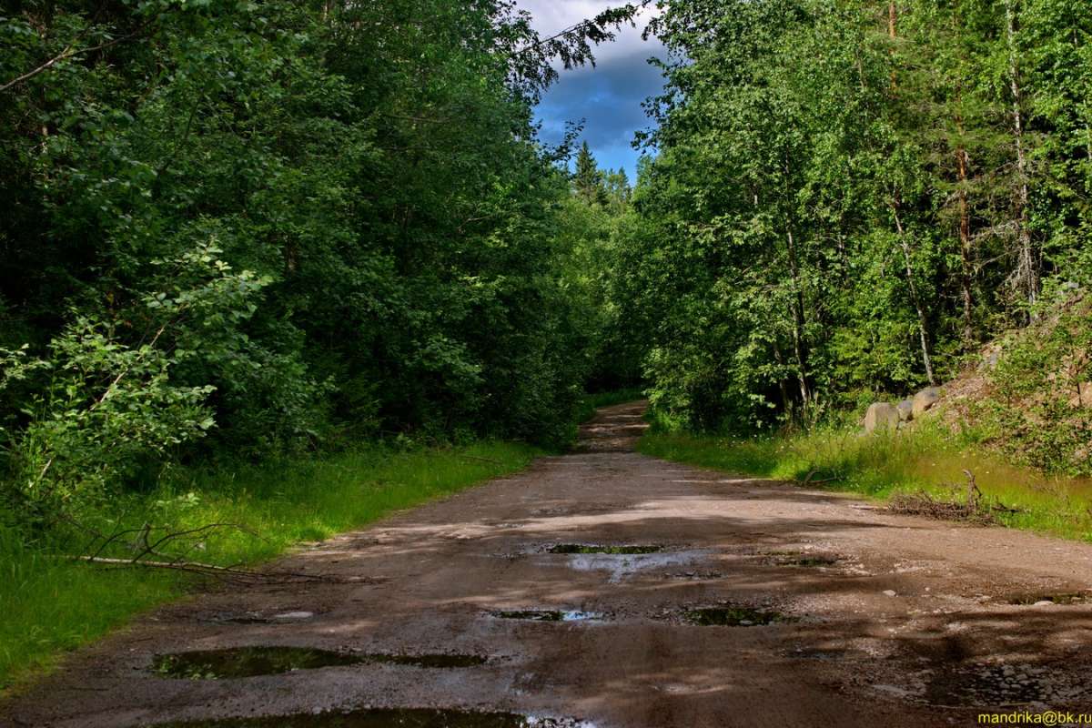������ ������ (2) ����� Aleksandr Mandrika �� PhotoGeek.ru #������ ��� �������