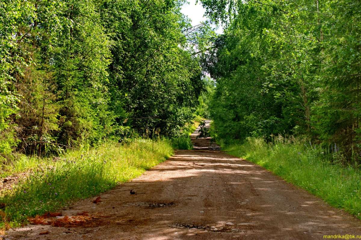 ������ ������ (3) ����� Aleksandr Mandrika �� PhotoGeek.ru #������ ��� �������