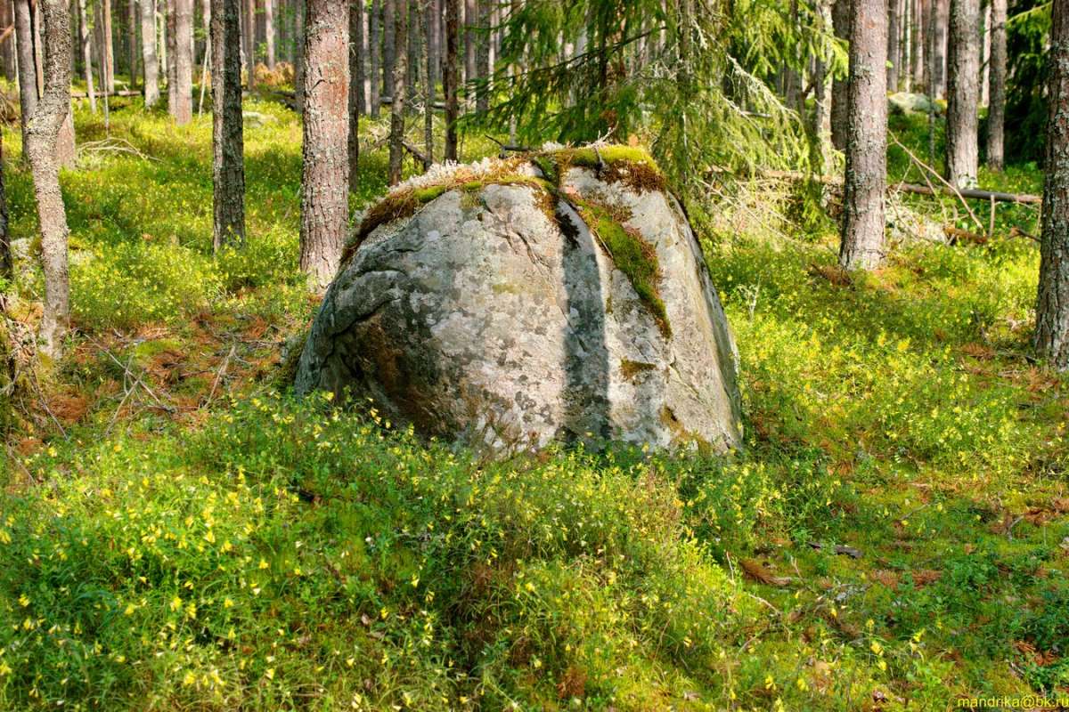 ����� � ���� (7) ����� Aleksandr Mandrika �� PhotoGeek.ru #������ ��� �������