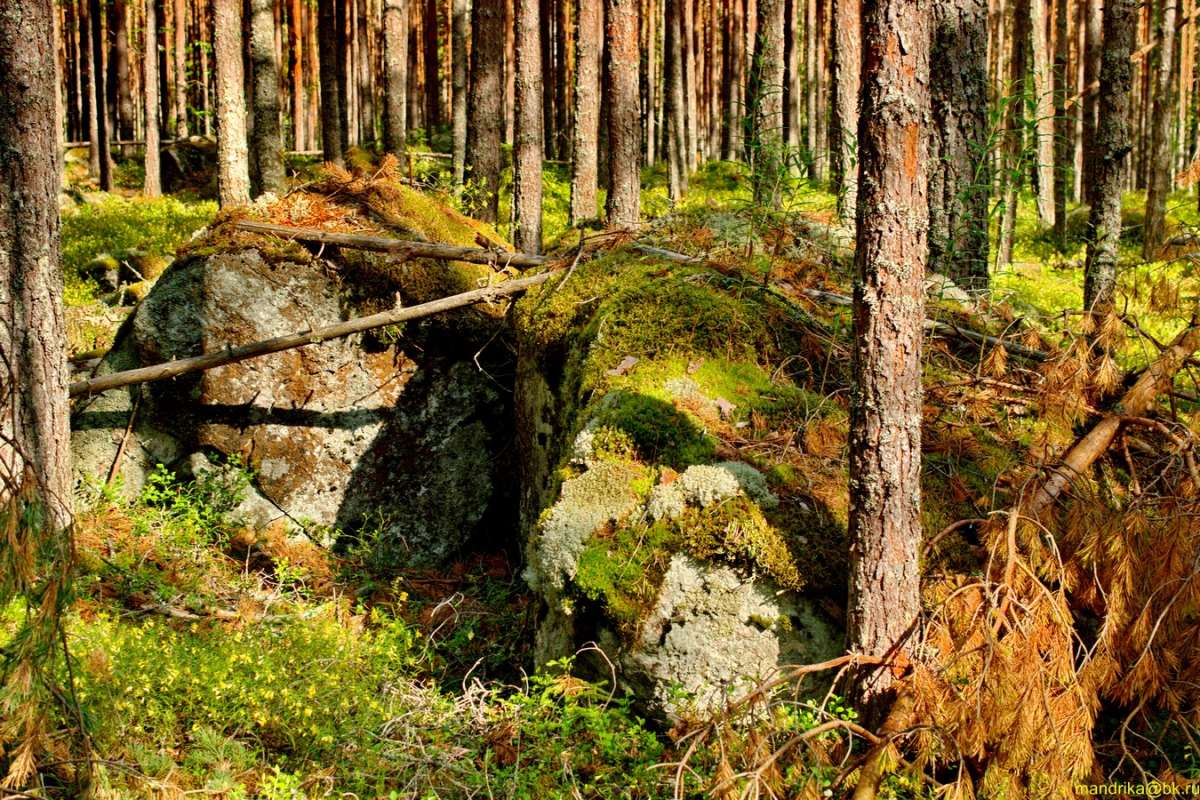 ����� � ���� (8) ����� Aleksandr Mandrika �� PhotoGeek.ru #������ ��� �������