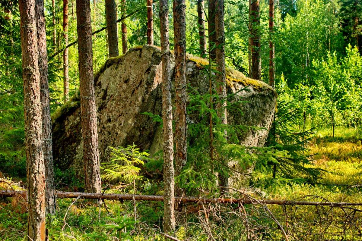 ����� � ���� (9) ����� Aleksandr Mandrika �� PhotoGeek.ru #������ ��� �������