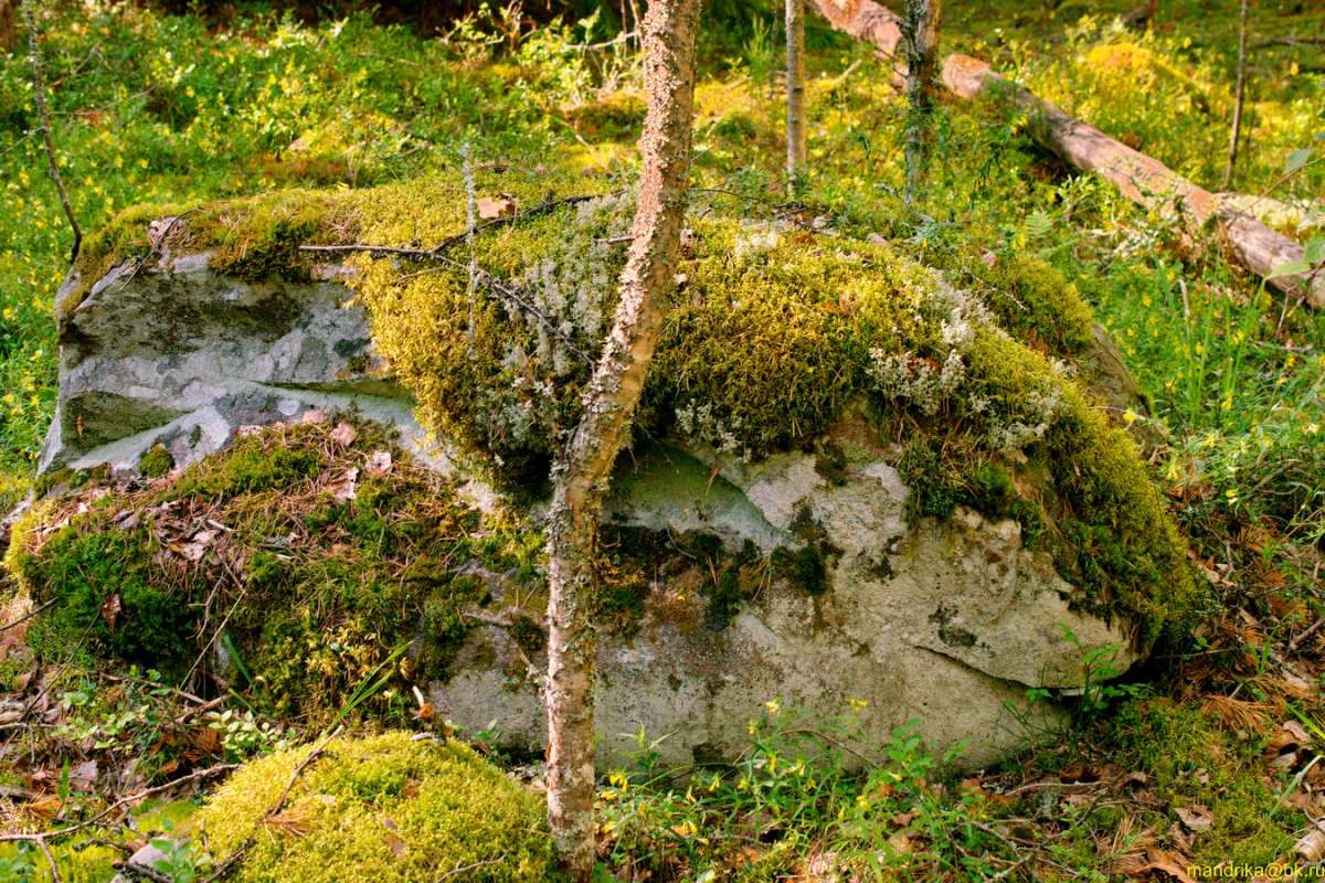 ����� � ���� (10) ����� Aleksandr Mandrika �� PhotoGeek.ru #������ ��� �������