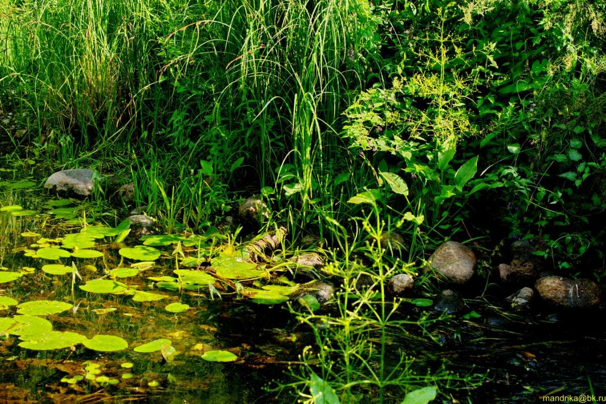 ������ ����� (3) ����� Aleksandr Mandrika �� PhotoGeek.ru #������ ��� �������