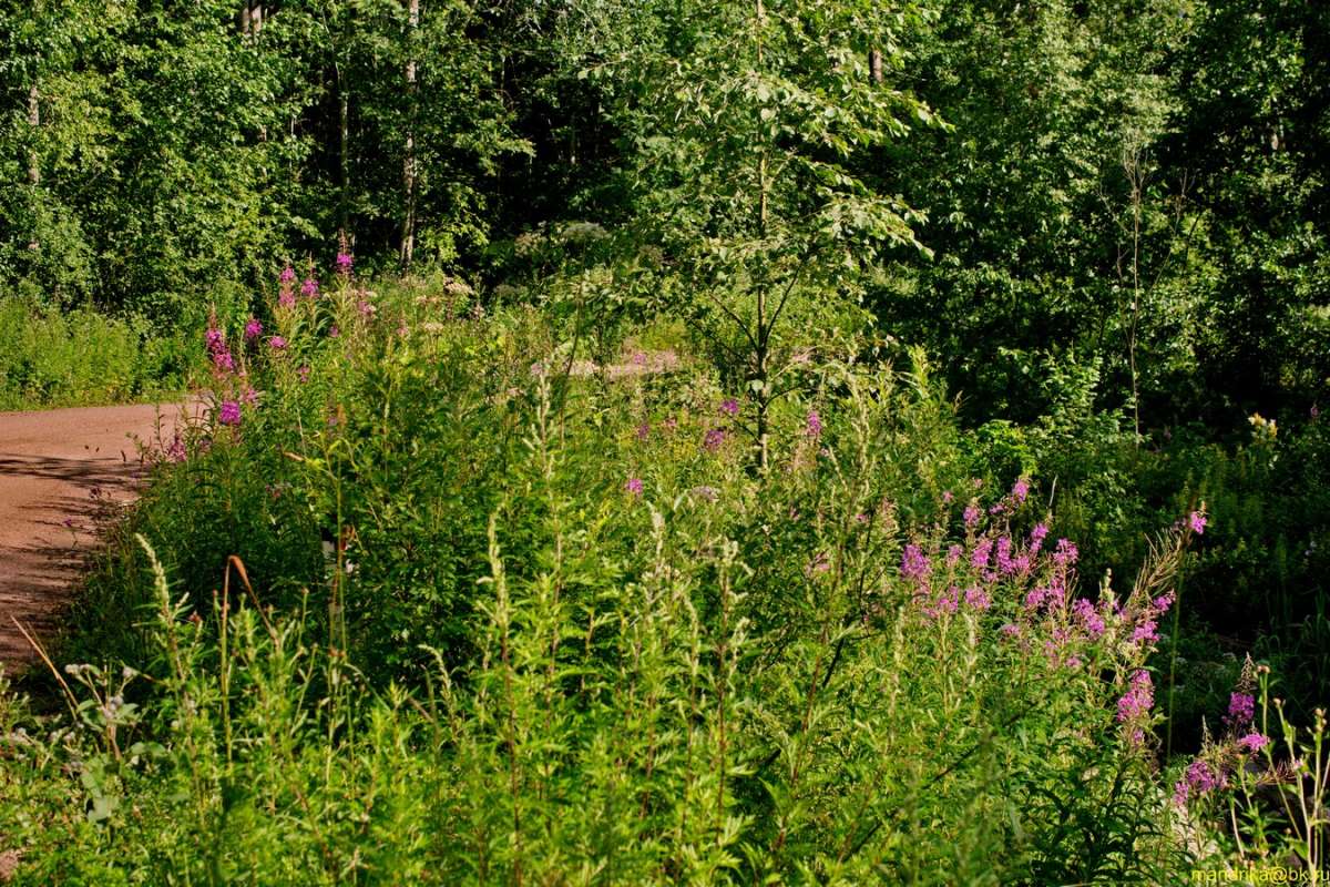 ������ ������ (11) ����� Aleksandr Mandrika �� PhotoGeek.ru #������ ��� �������