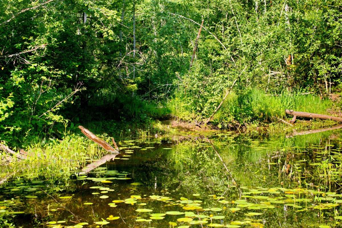 ������ ����� (4) ����� Aleksandr Mandrika �� PhotoGeek.ru #������ ��� �������