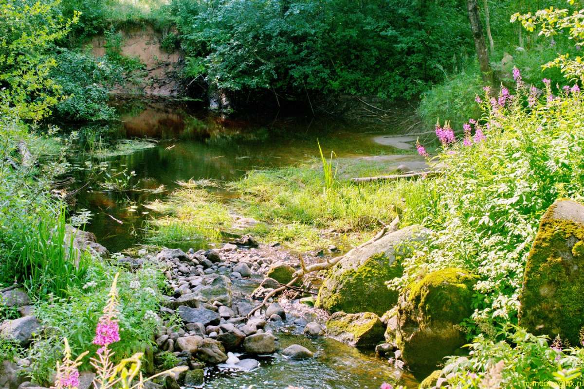 ������ ����� (5) ����� Aleksandr Mandrika �� PhotoGeek.ru #������ ��� �������