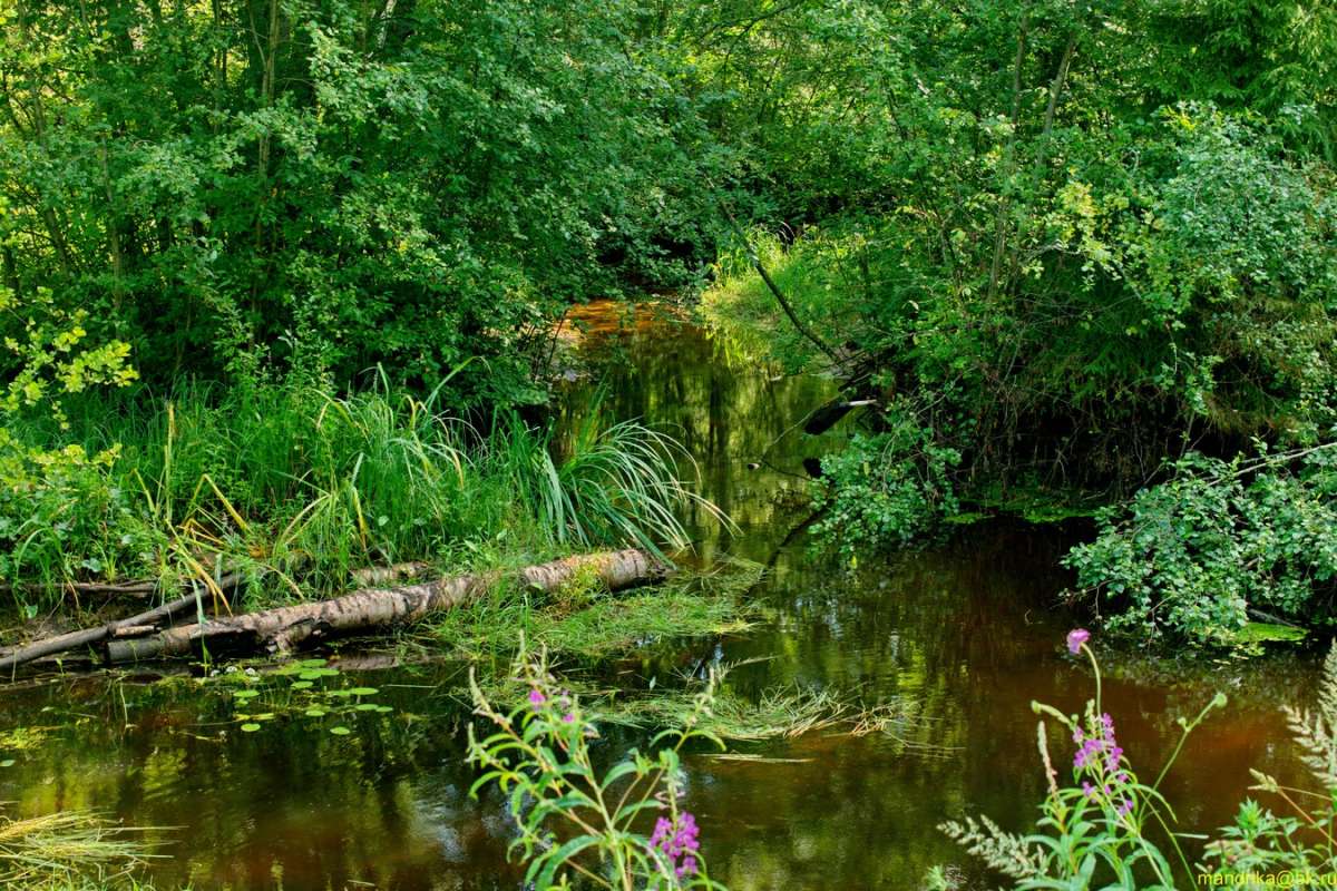 ������ ����� (6) ����� Aleksandr Mandrika �� PhotoGeek.ru #������ ��� �������