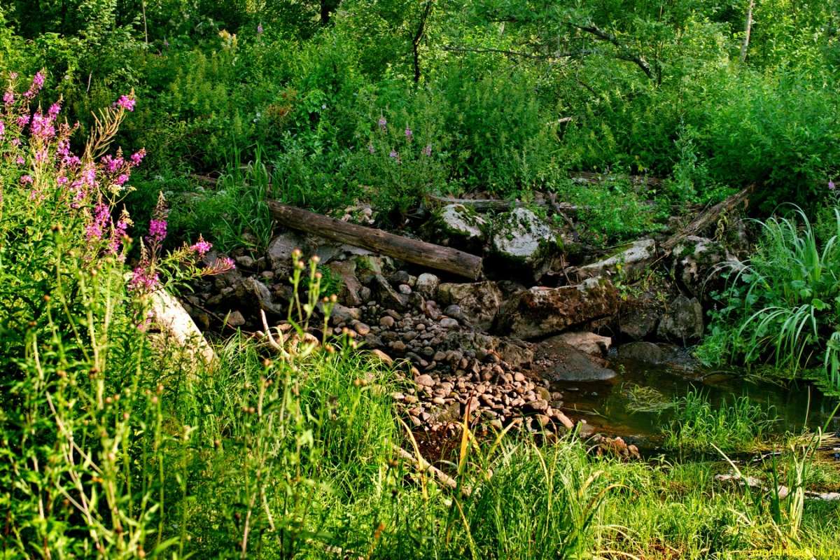 ������ ����� (7) ����� Aleksandr Mandrika �� PhotoGeek.ru #������ ��� �������