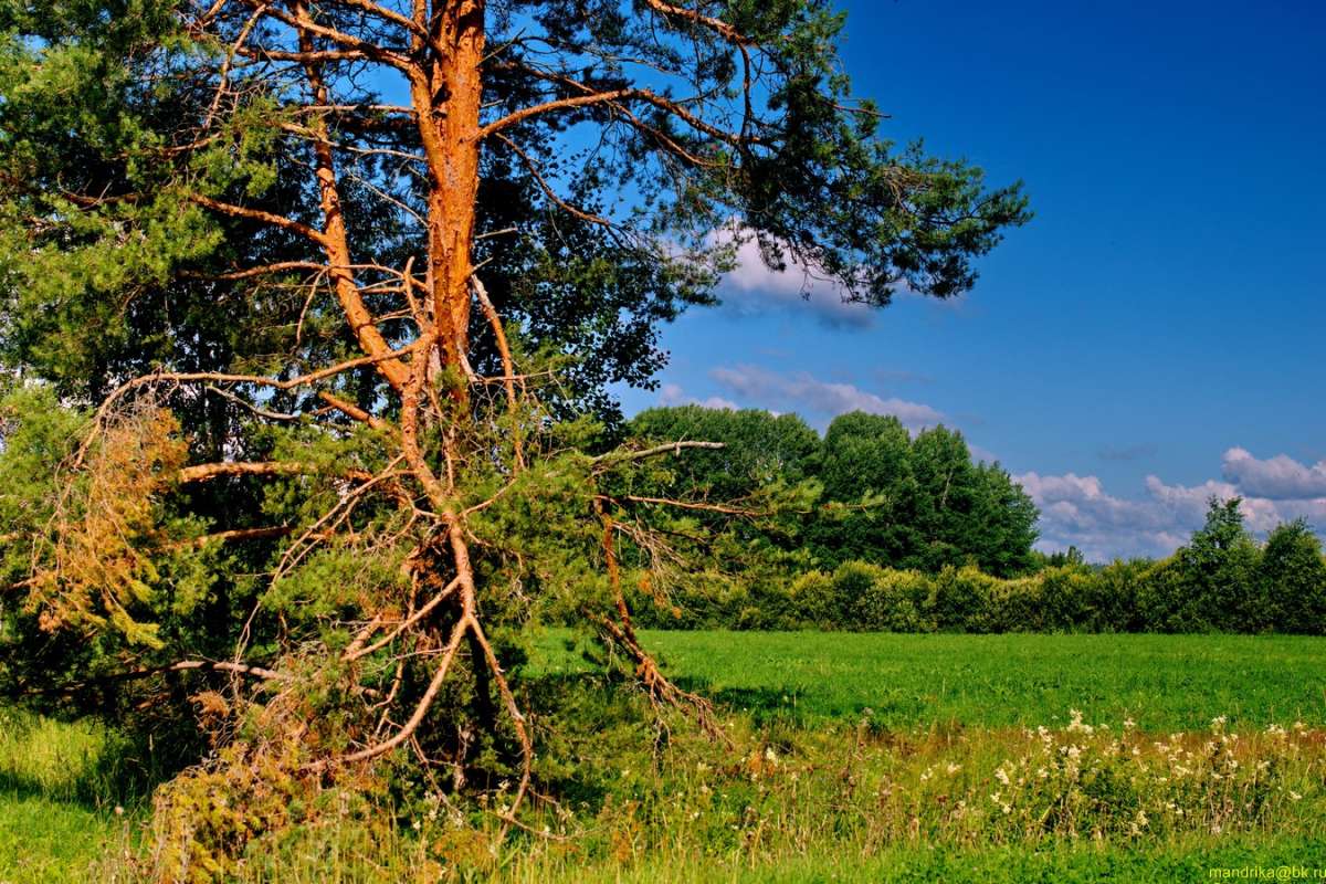 ����������� ����� (1) ����� Aleksandr Mandrika �� PhotoGeek.ru #������ ��� �������