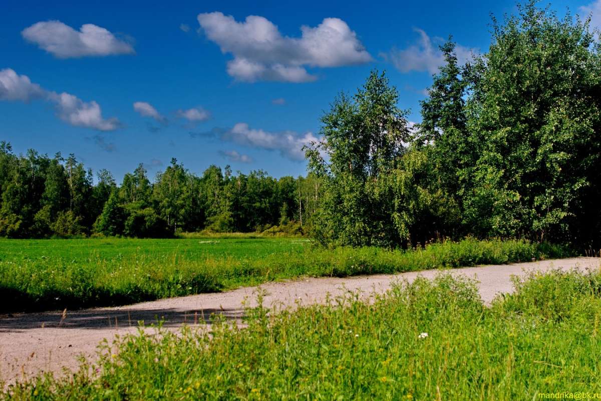 ������ ����� ���� ����� Aleksandr Mandrika �� PhotoGeek.ru #������ ��� �������