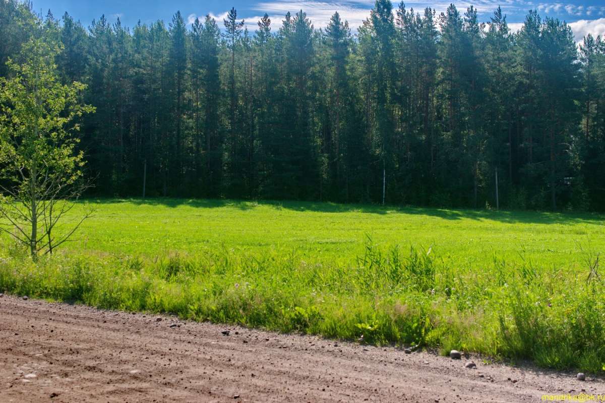 ���� � ������ ����� Aleksandr Mandrika �� PhotoGeek.ru #������ ��� �������