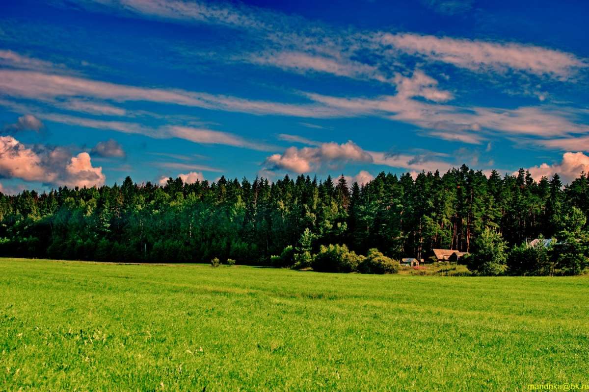 ��, ��� ������� ���� ����� Aleksandr Mandrika �� PhotoGeek.ru #������ ��� �������