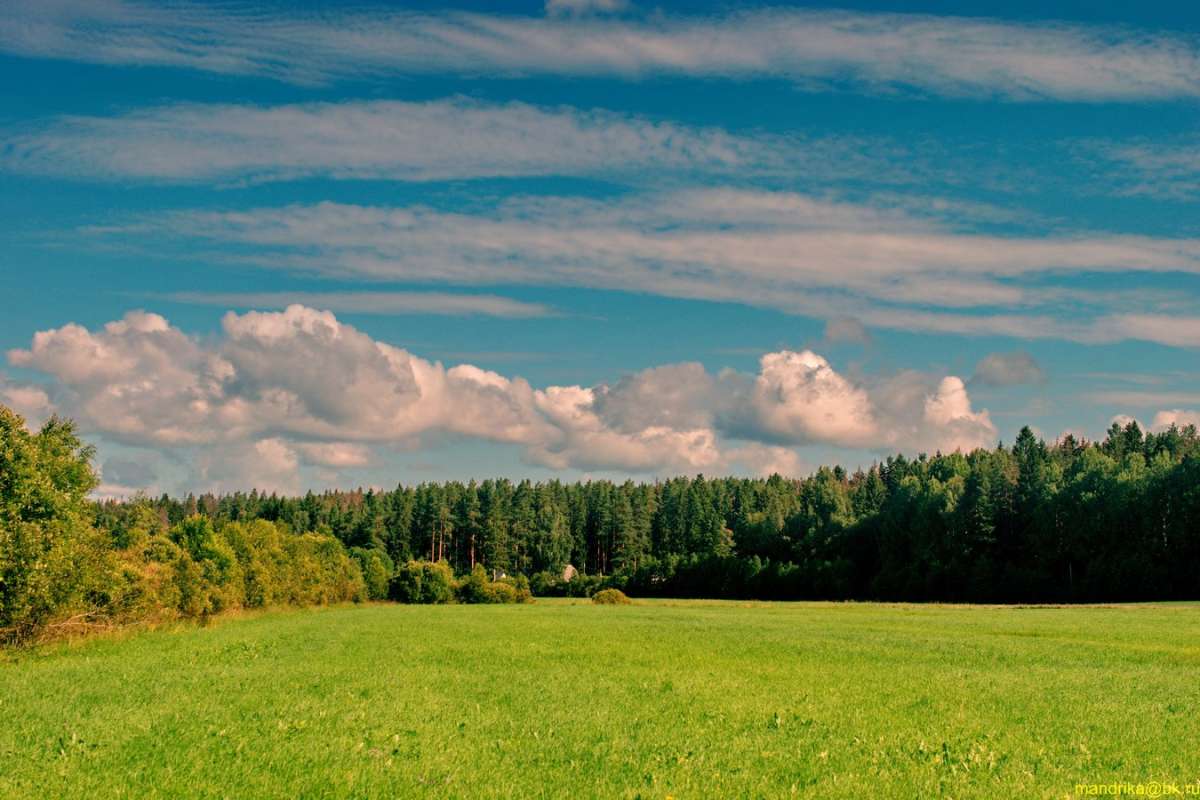 ����������� ���� ��������� ������ ����� Aleksandr Mandrika �� PhotoGeek.ru #������ ��� �������