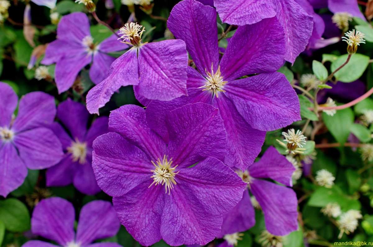 ���������� ����� ����� Aleksandr Mandrika �� PhotoGeek.ru #������ ��� �������