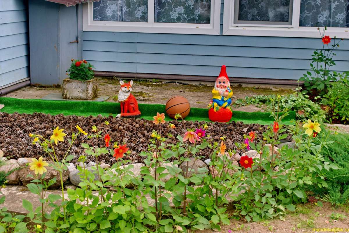 ������ � ���� ����� Aleksandr Mandrika �� PhotoGeek.ru #������ ��� �������