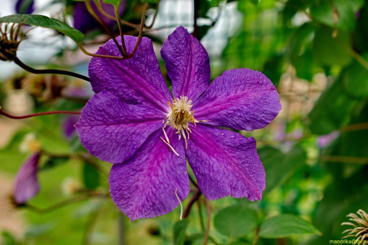 �������� ����� Aleksandr Mandrika �� PhotoGeek.ru #������ ��� �������