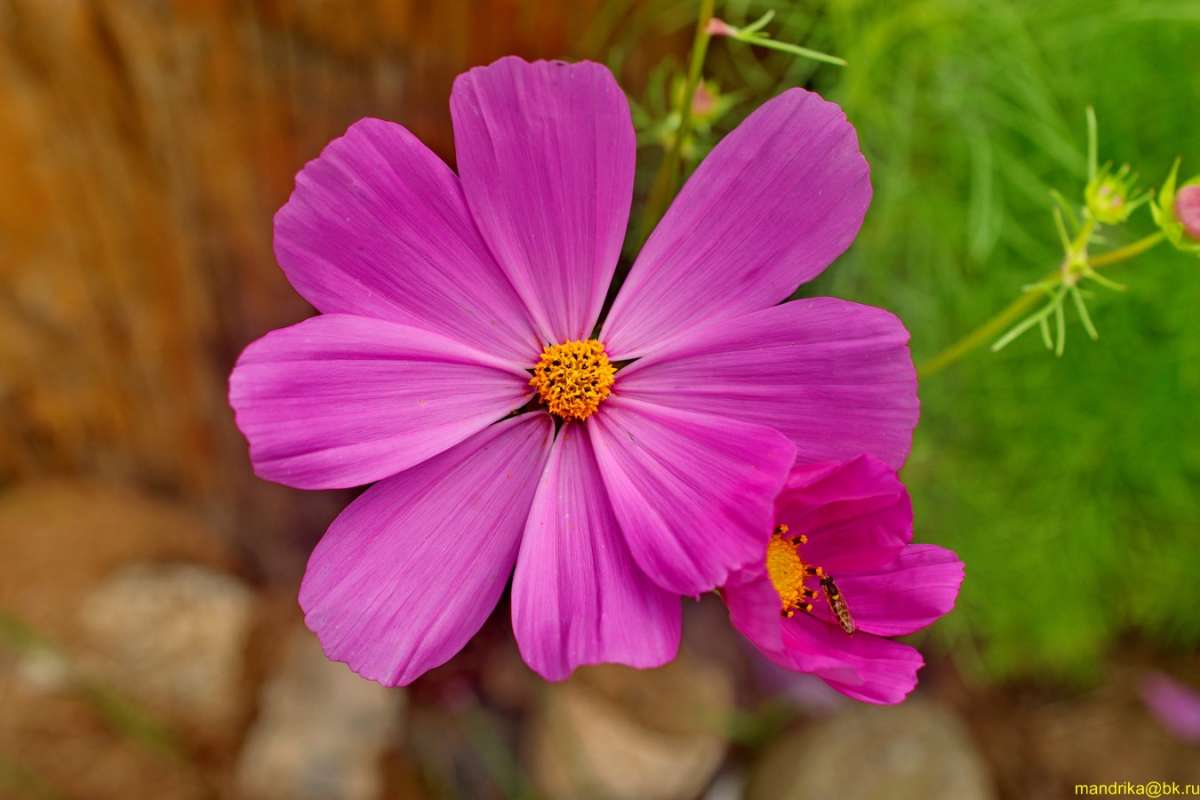 ������ ����� Aleksandr Mandrika �� PhotoGeek.ru #������ ��� �������