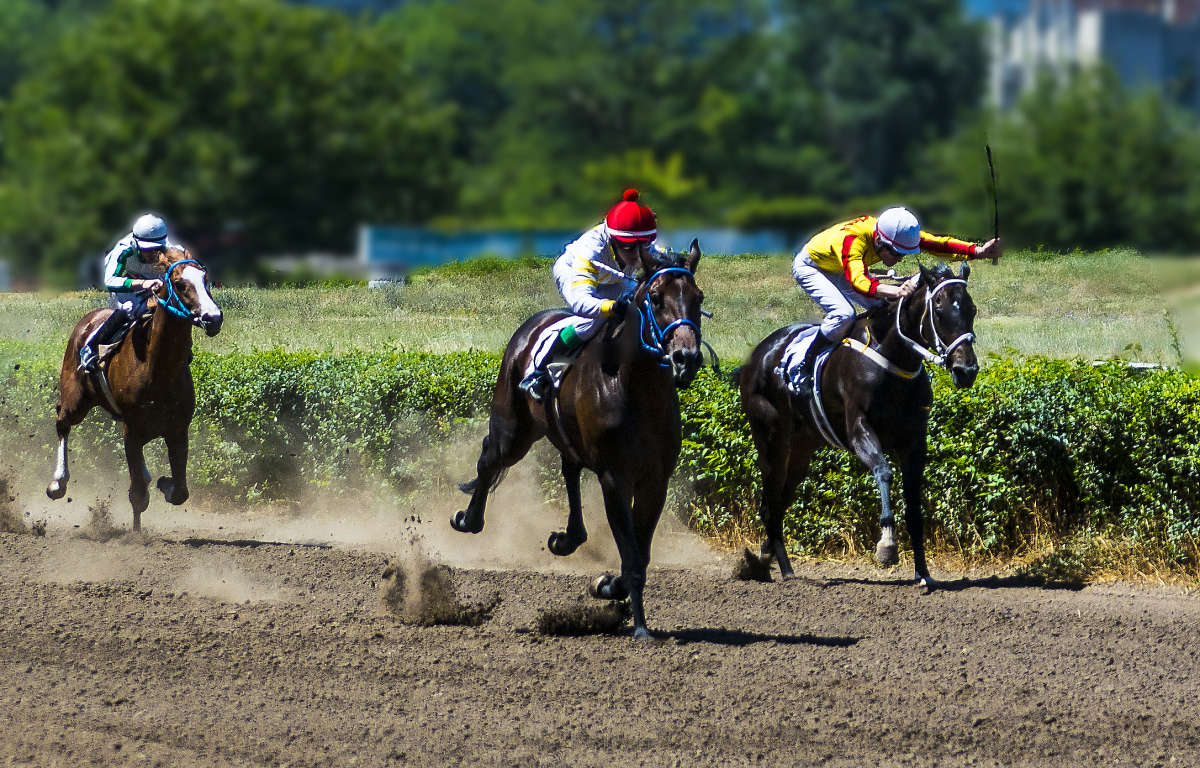 ������. ����� ����� ������� �� PhotoGeek.ru #�����