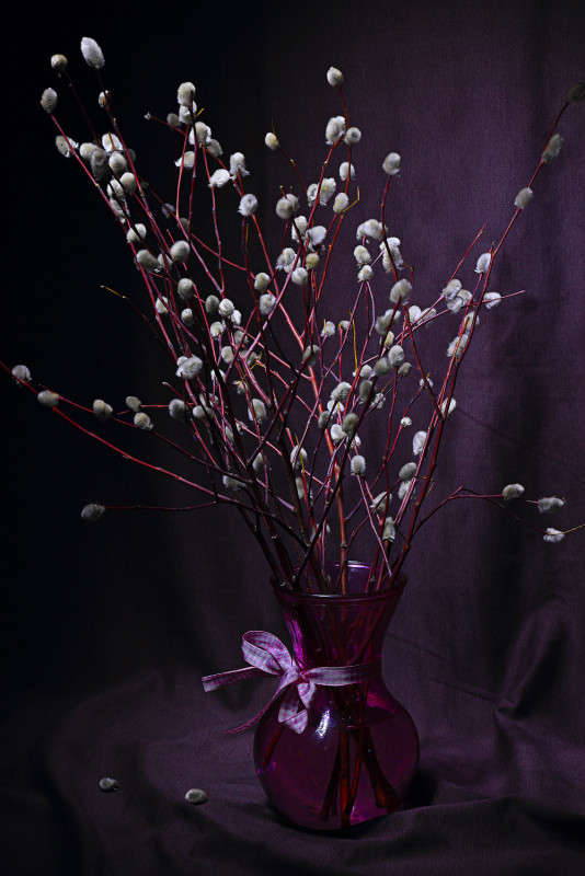 ����� ����� ������ ������ �� PhotoGeek.ru #��������� #�������������