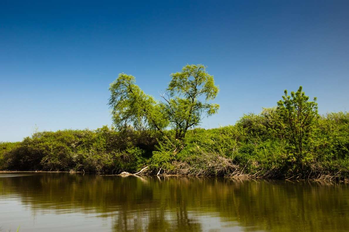 ... ����� ������ ������ �� PhotoGeek.ru #������ ��� �������