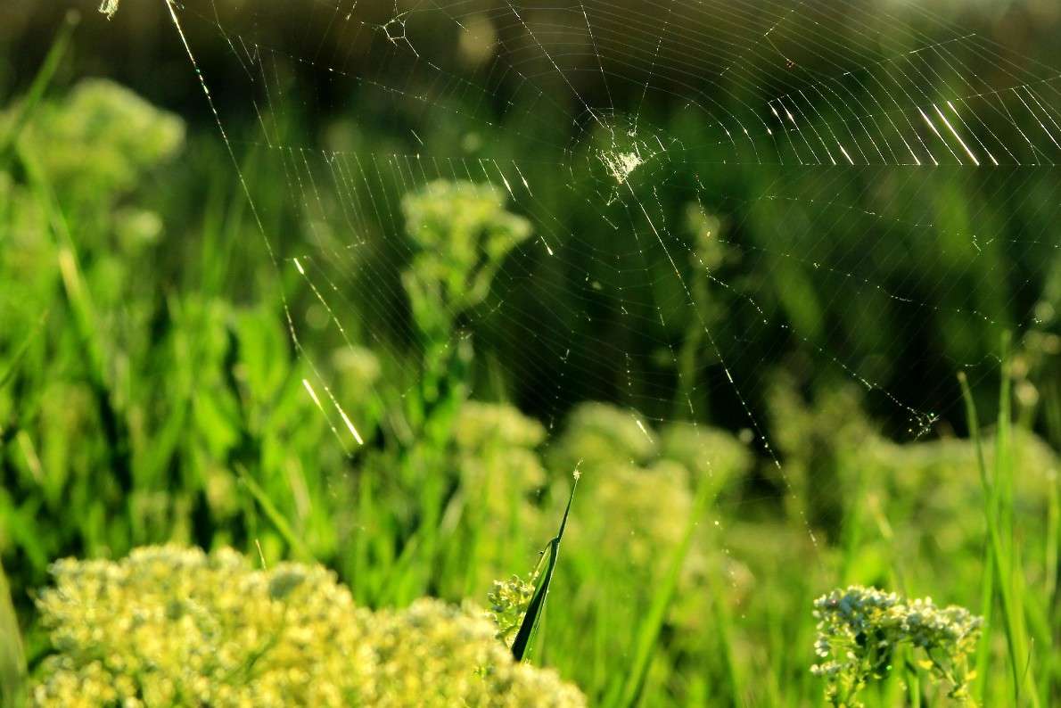 ... ����� ������ ������ �� PhotoGeek.ru #������ ��� �������