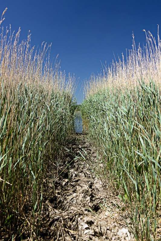 ��������� ������� ����� ������ ������ �� PhotoGeek.ru #������ ��� �������